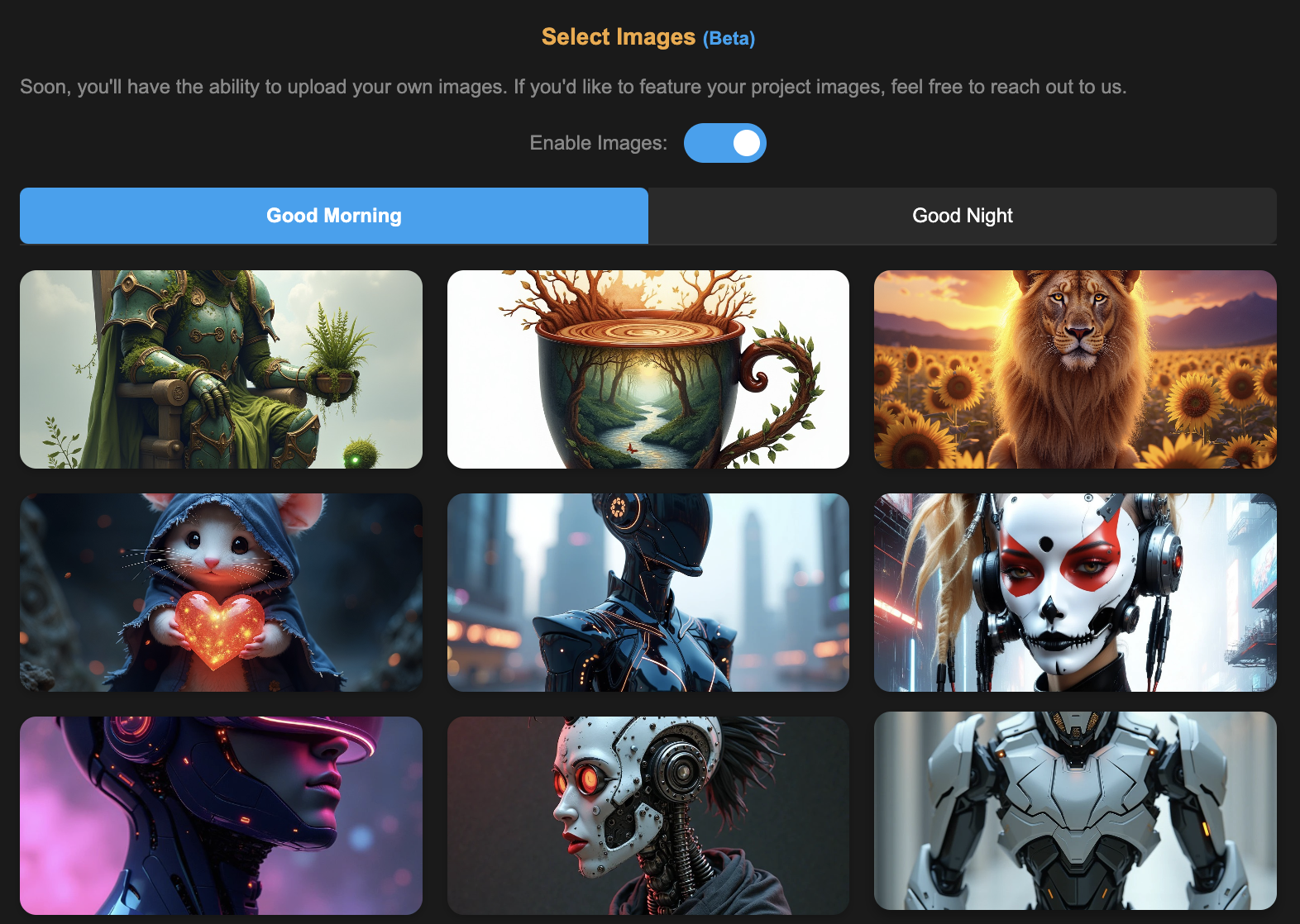 Image selection interface
